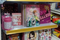 imagem8